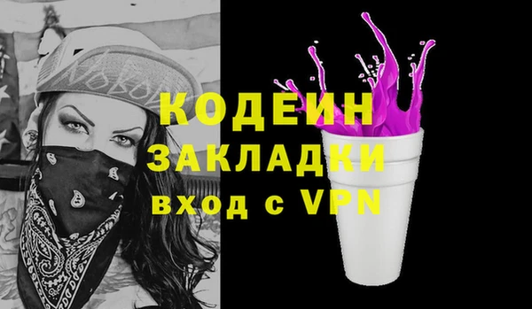 хмурый Бородино