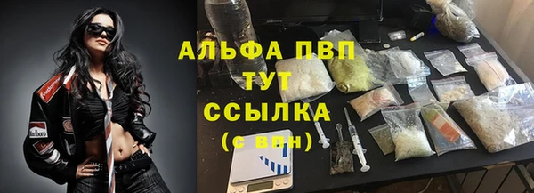 хмурый Бородино