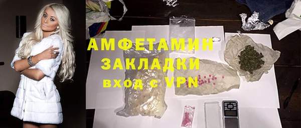 хмурый Бородино