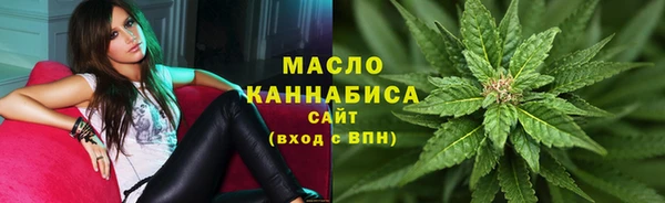хмурый Бородино