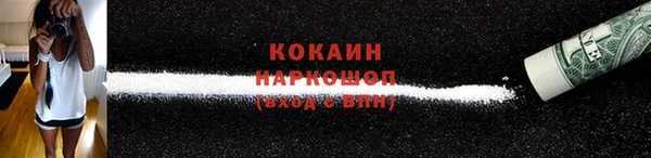 хмурый Бородино
