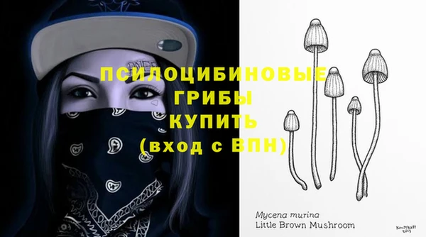 хмурый Бородино