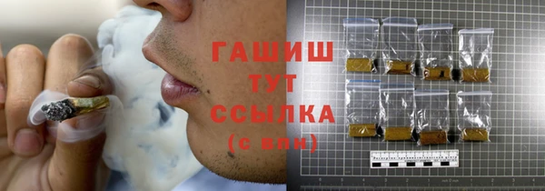 хмурый Бородино