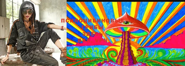 хмурый Бородино