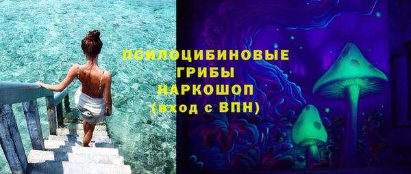 хмурый Бородино