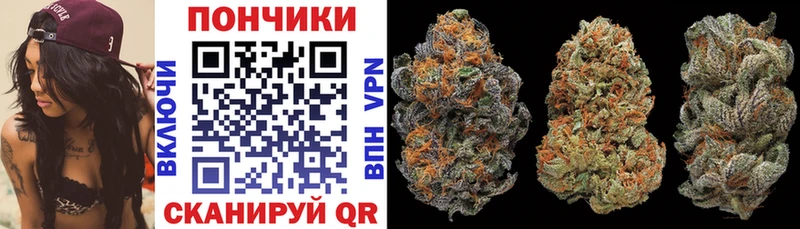 Бошки марихуана MAZAR  Ессентуки 